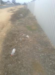 11403156_10152894577600544_4272663647602266008_n