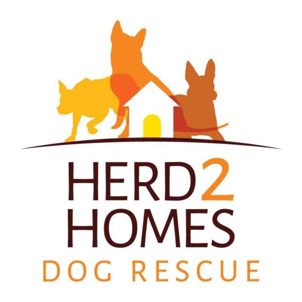 11998909_1656512401255065_4555661039281546522_n