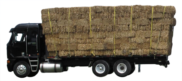 example-of-straight-truck