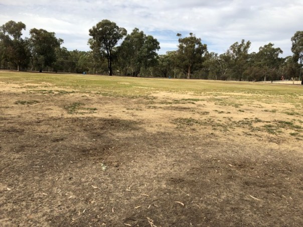 56679390_333926757479167_5251247859012993024_n