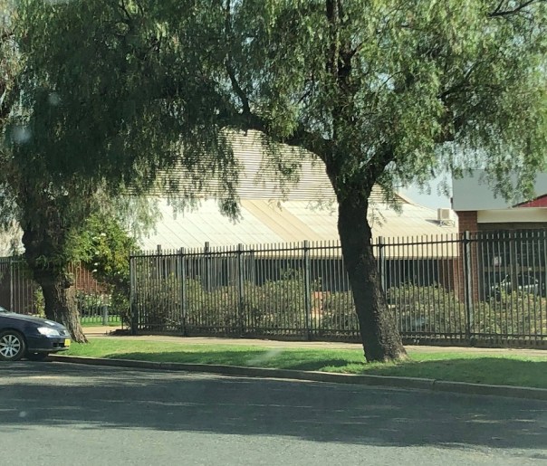 84876910_175005597147647_2678069730060795904_n